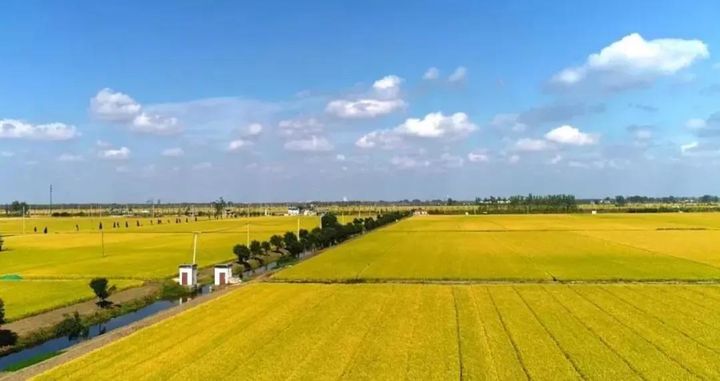 欣欣普法人 北京拆迁律师解读:从政府手中买断的土地使用权及建筑物是否违建