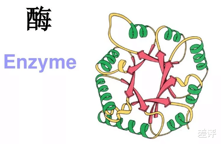 微生物 用二氧化碳合成淀粉？中国科学家今天靠这技术霸榜了科技圈