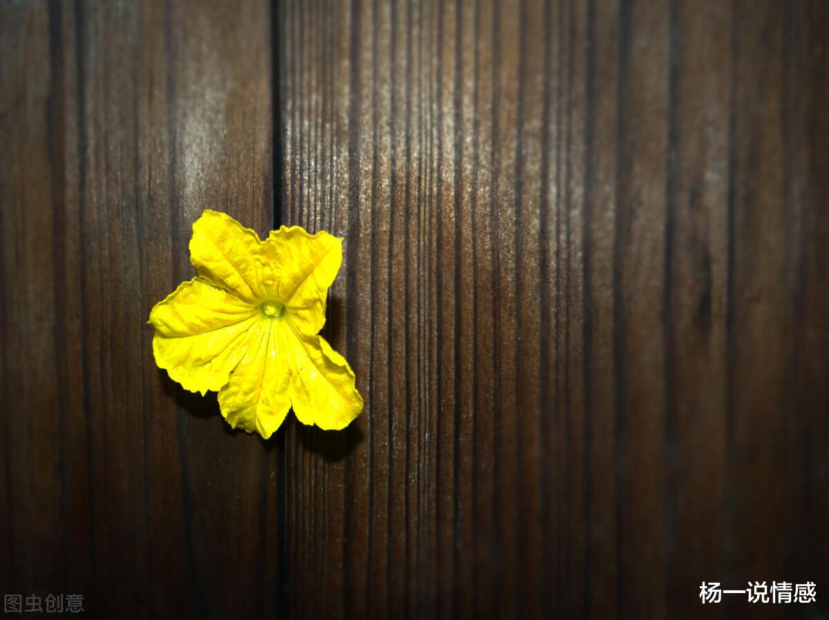 杨一说情感|六封情书成全了别人的爱情，暗恋的美好，因为爱而离去，直到永远