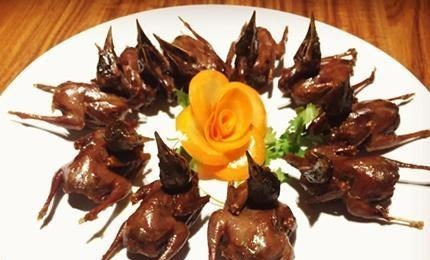 家有二宝育儿|比大熊猫还珍稀！云南发现极危物种黄胸鹀，为何13年连升五级？