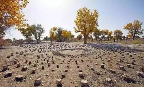 舜网 新疆有太多的未解之谜，新疆的死亡禁地之谜和罗布泊大耳朵之谜你听说过吗？