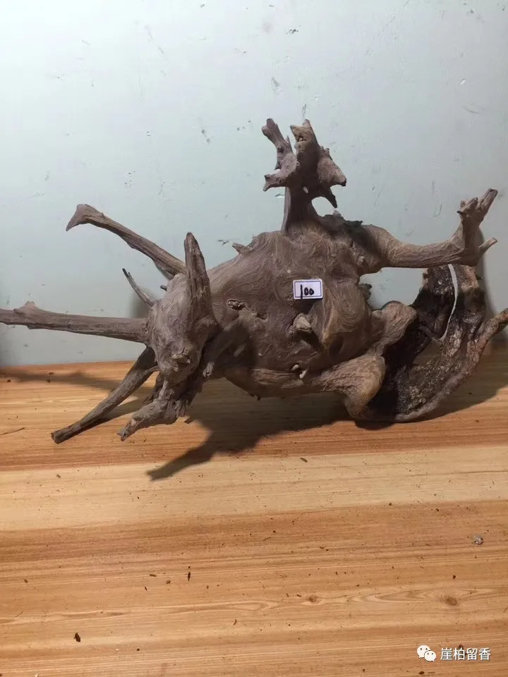 |为何你买崖柏总上当呢？