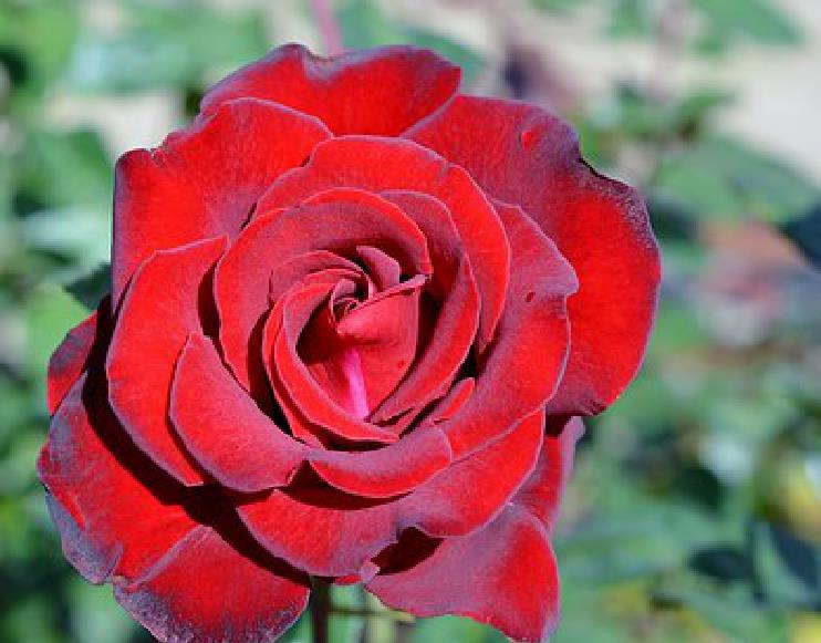 陈敏妍说情感|经典走心的感悟短语，深刻透彻，读完受益不少