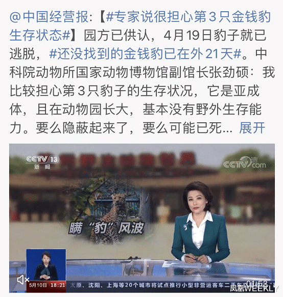凤凰WEEKLY 杭州“瞒豹”:一场把网友当傻子的荒诞剧