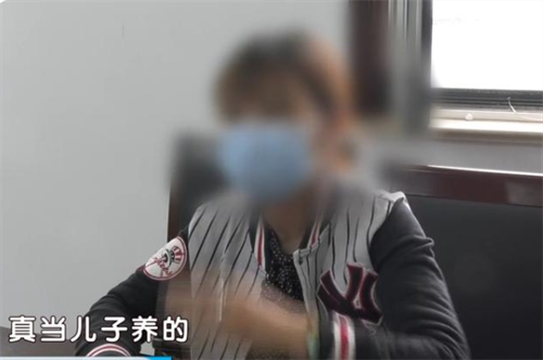 北京一女子饲养烈犬,遛狗时咬伤男童却不认栽,庭审现场如此表态