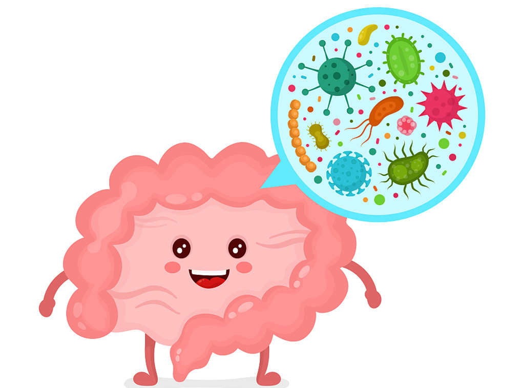 抗生素|抗生素对人体不同时期肠道菌群的影响,这个时期影响最大!