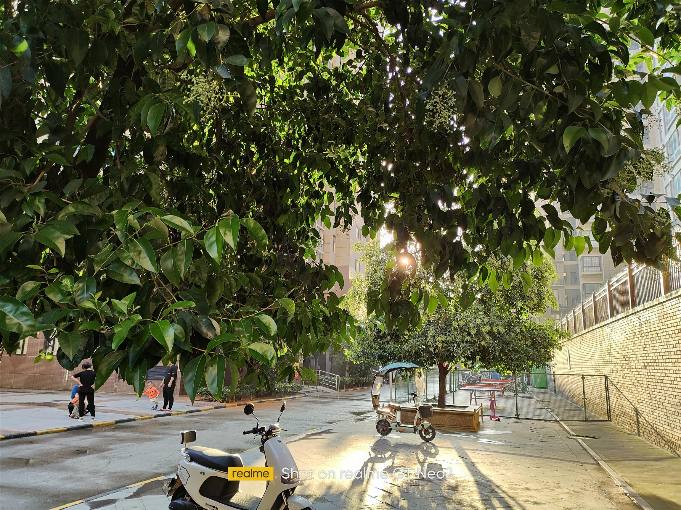 少年三国志|游戏稳准狠,年轻敢越级,真我GT Neo2评测