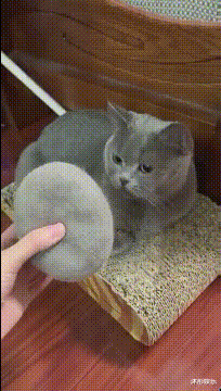 宋仲基|“老婆发来的照片，结完婚的人都懂！”哈哈哈该交公粮了！