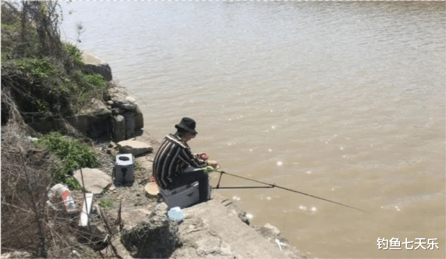江苏省|一条鱼还没钓到，结果就被抓了！江苏这名钓鱼人到底冤不冤？