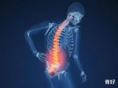 哮喘|腰腿痛的病因，全在这里了！（干货收藏）