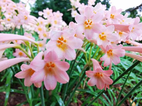 遇见小媛|真正爱一个人,就要学会相互成全