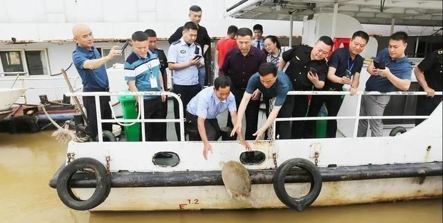 水库|广东钓鱼人,水库夜钓遭遇30斤罕见“巨鳖”,将近水盆大