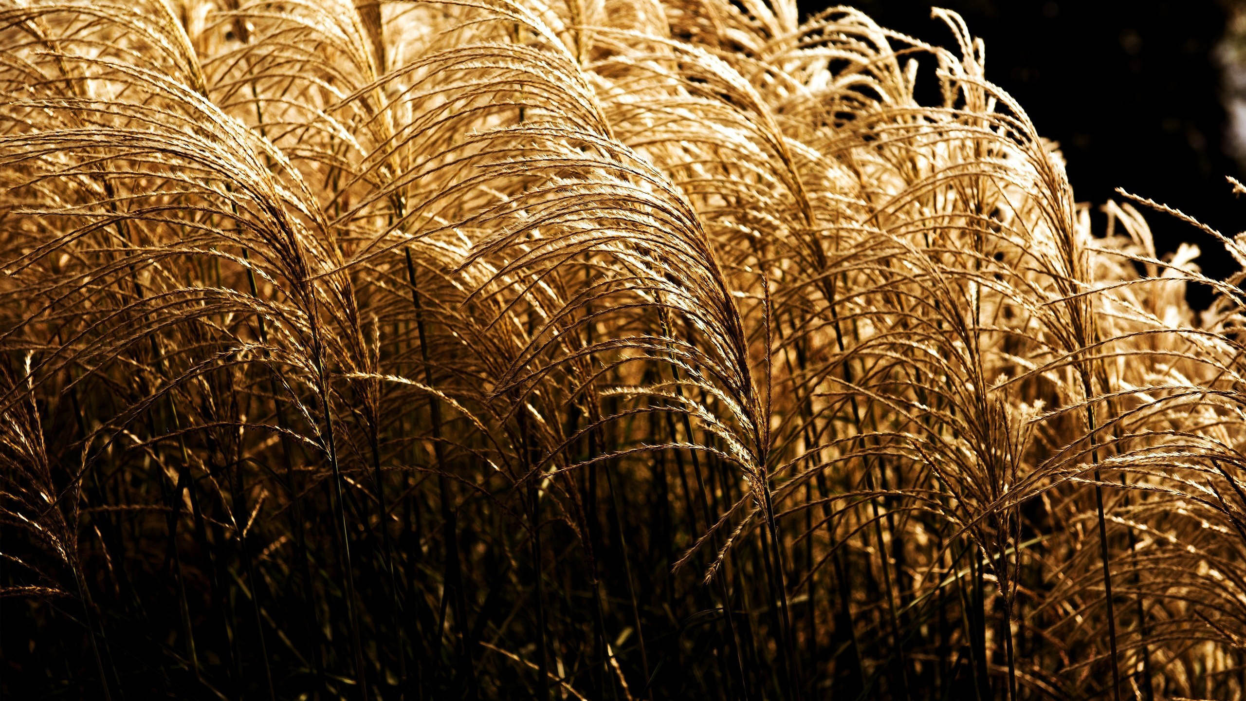 冬至的黄钟之音，与宇宙对话的思想萌芽