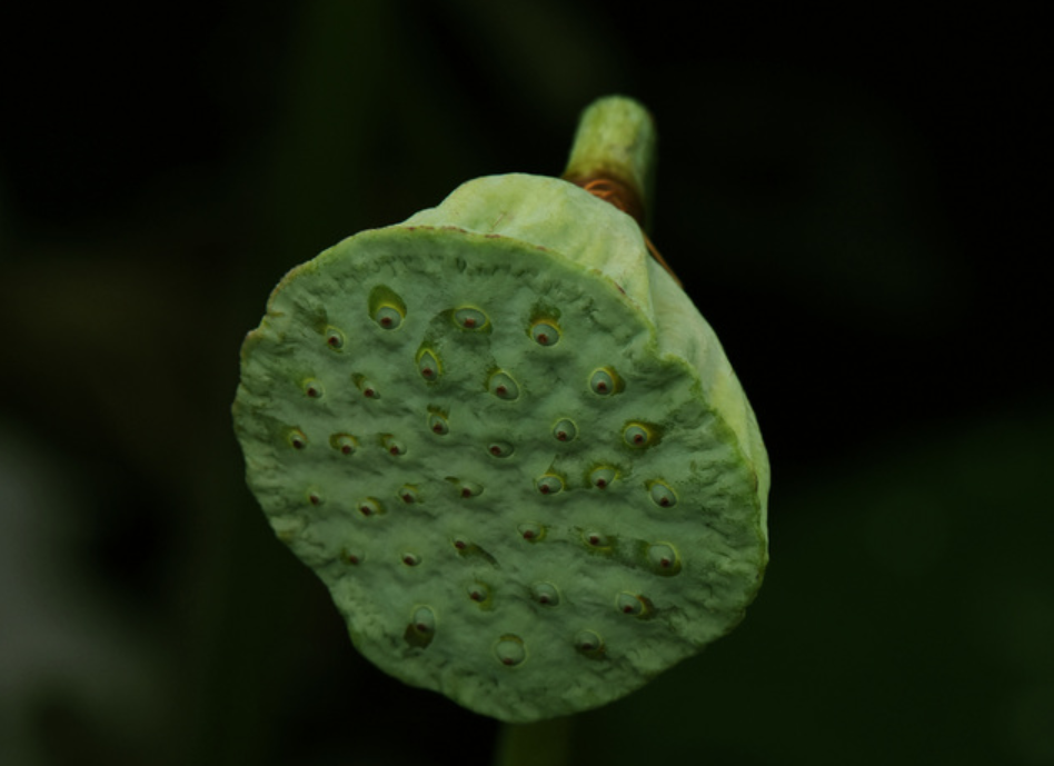本人讲星座|9月底，行好运，赚大钱，福运来，3星座事业大展宏图，光耀门楣