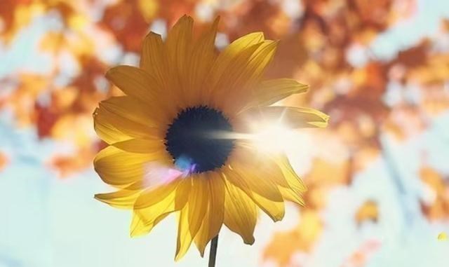 |心理学:一个人若出现这3种先兆,表示好运将要降临,请捉住机遇