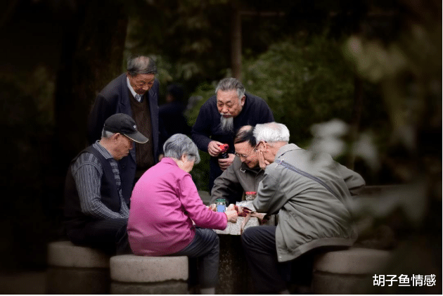 胡子鱼情感|为什么反对老人打麻将？65岁老人直言: 前期多享受，后期就多悲惨