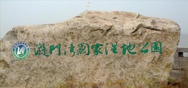 浙江省|浙江一男子湿地公园垂钓，罕见收获“米级”鲈鱼，最终却如此处置