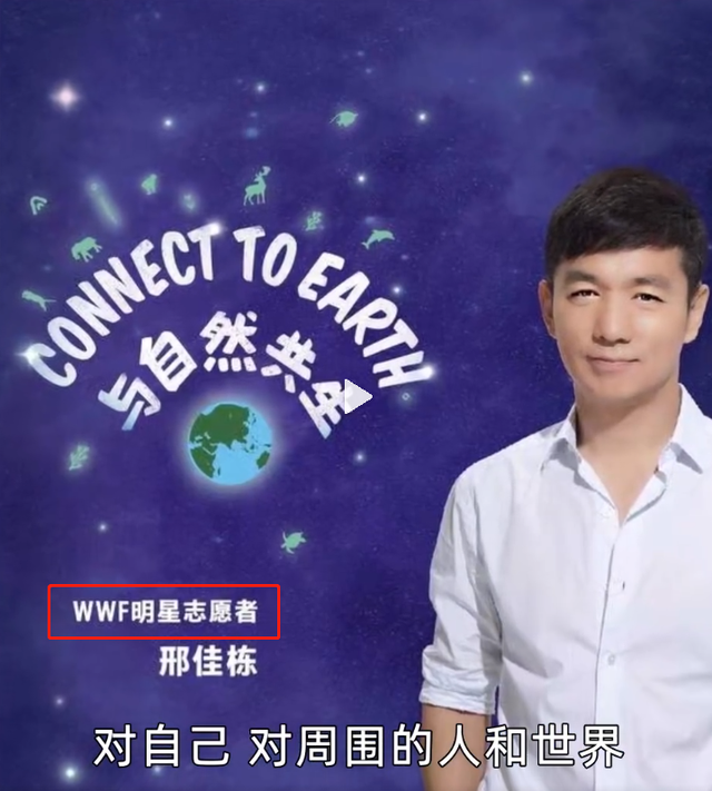 人造肉|《素食行者》自导自演，不让吃肉的背后，中信资本才是主角