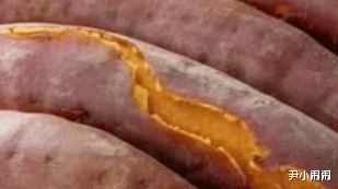 苹果|一周减肥食谱,一日三餐都帮你安排好了!吃对了加上运动助你瘦身