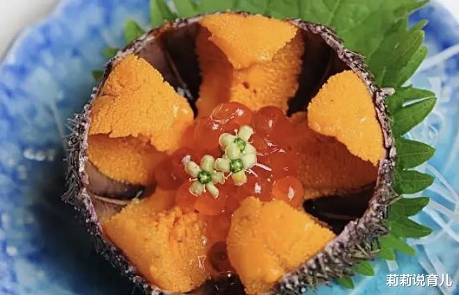 莉莉说育儿|经济损失46亿！日本北海道1500吨海胆死亡；中国前三季度外贸总额超28万亿！中国制造好评如潮