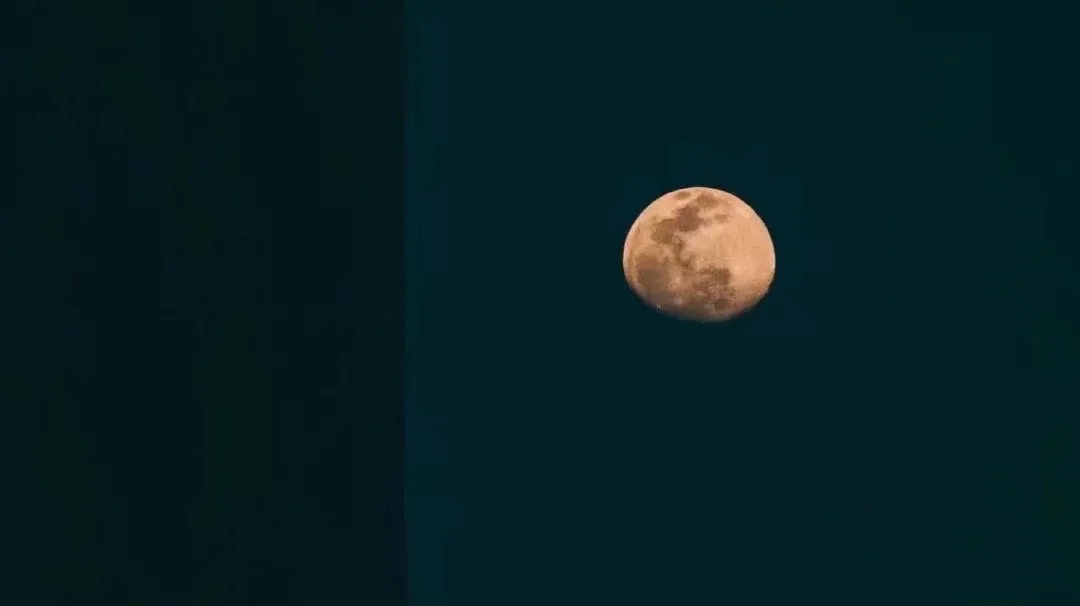 大卫星座|真正的对的人不是先来的人，而是来了以后没离开的人