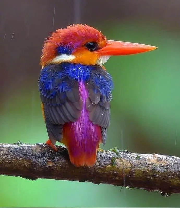 洞洞鞋|夏天穿洞洞鞋的烦恼