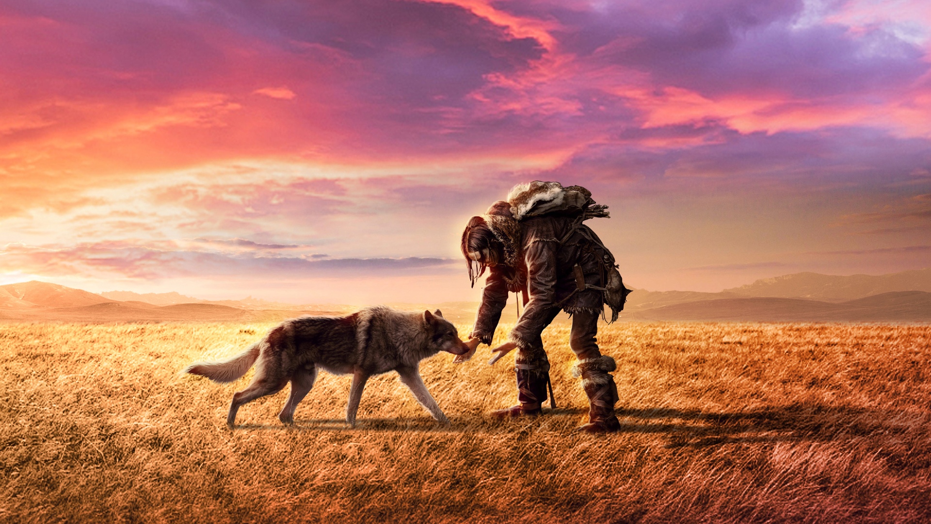 阿尔法：狼伴归途