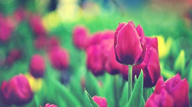 遇见小媛|学会这三招,帮你挽回男人的心,让他再绝情也回心转意