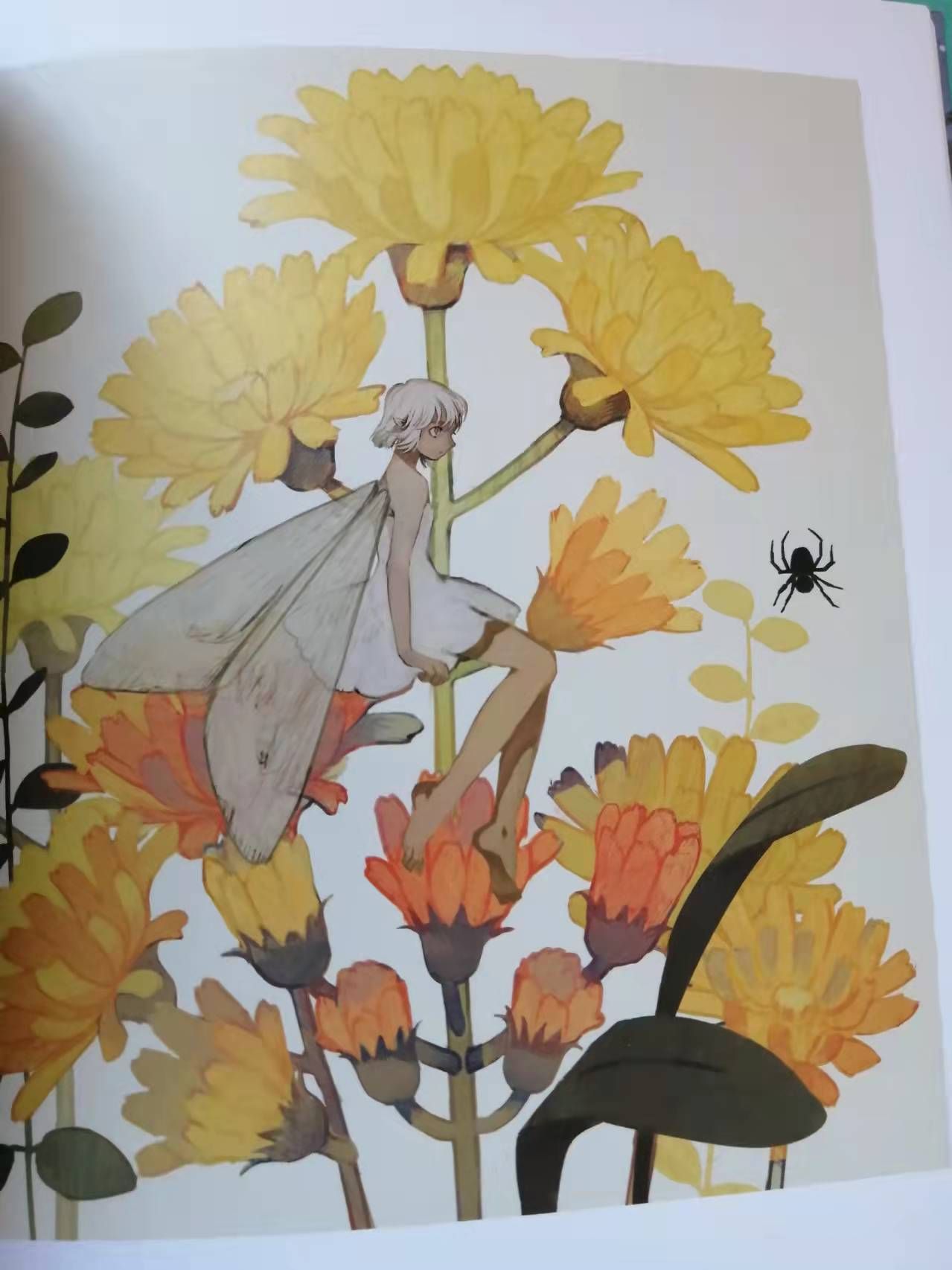 鳄鱼|《半月之音：殿 初画集》：通过插画，一起感受美