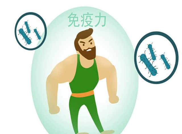 海绵宝宝爱养生|哪些行为容易“毁掉”免疫力？常吃5种食物帮助身体变强壮