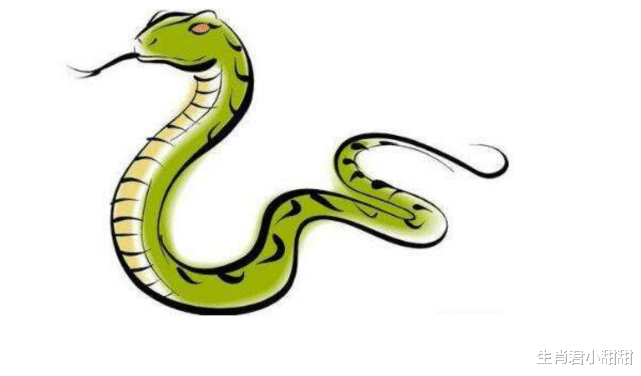 星象|财运转好开始走上坡路，生肖蛇时来运转得财神眷顾，事业一飞冲天