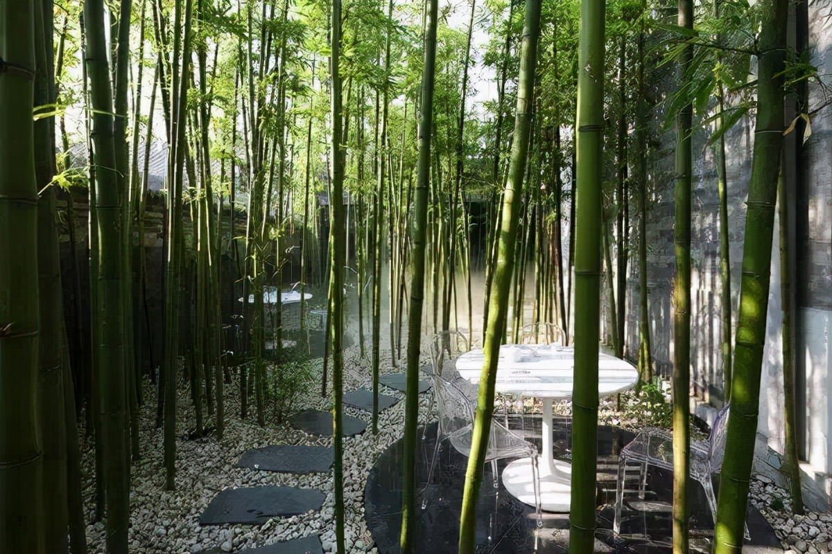 购房置业|在庭院里种一些竹子，清雅淡然又不屈，一种宁静致远的美