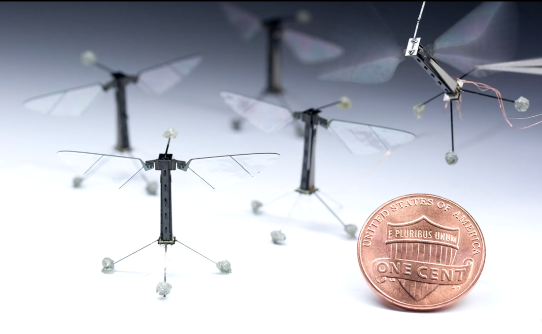 昆虫 有趣的微型机器人（一）