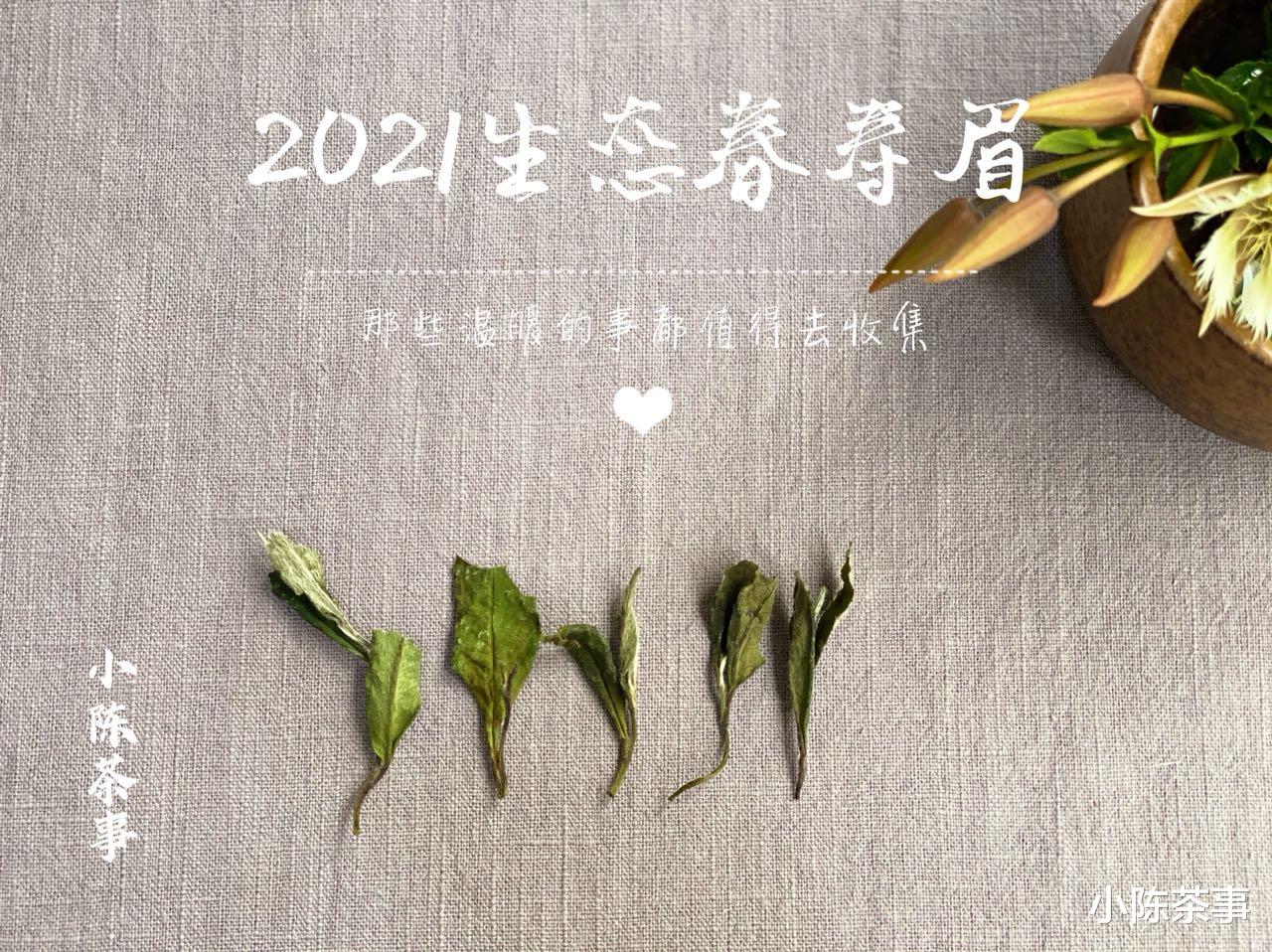 茶具|从白茶分类到茶具选择、冲泡方法,最全的白茶基础知识,快收藏!