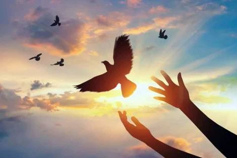 似曾相识 初次相见，却似曾相识，这是前世记忆吗？心理学的解释很明确