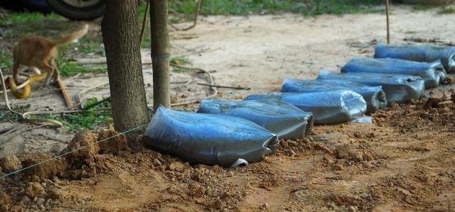自己动手捯饬院子,塑料袋里灌水泥,铺满整个地面,比青石板结实
