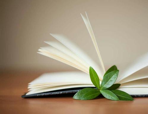 欣妈的育儿日记|准妈妈肚子上长妊娠纹,无助崩溃大哭,丈夫的做法迎来网友围观