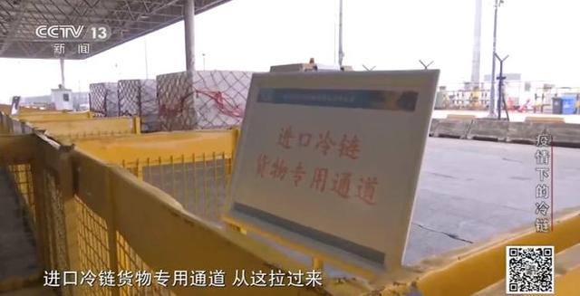 生活报 机场、港口如何扎紧“人物同防”的口子,听听专家怎么说?