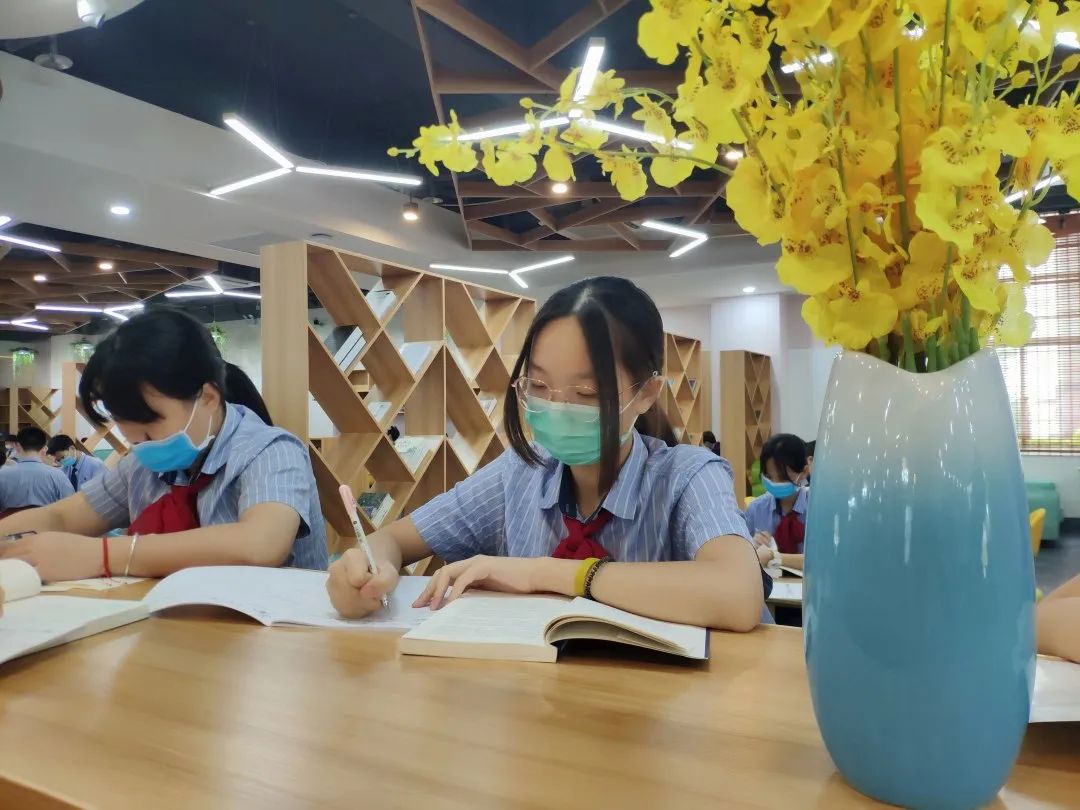幼儿园|小学成绩名列前茅，到初二却一落千丈，不要忽略小学成绩的欺骗性