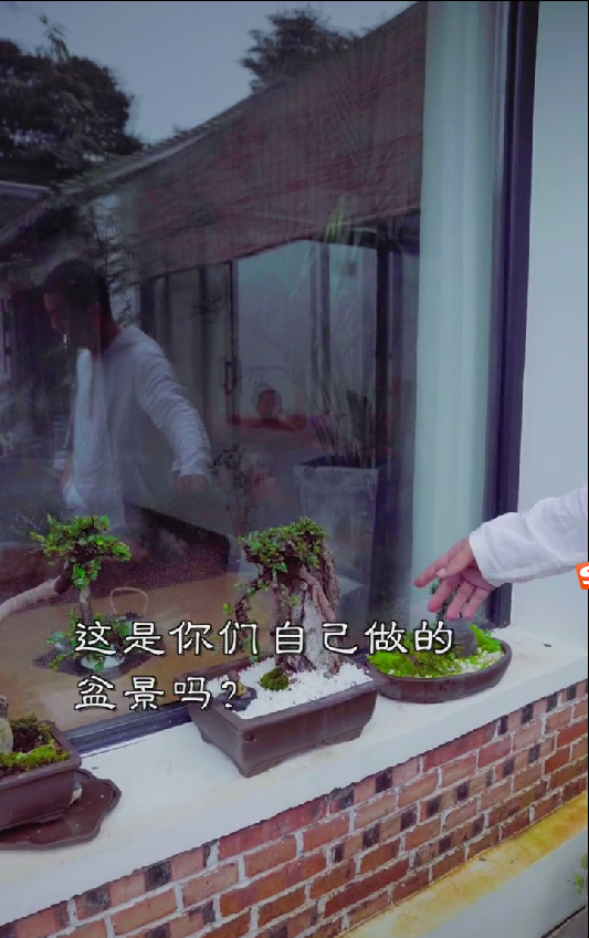 李亚鹏|李亚鹏山中访老友？穿素衣吃柴火饭，用扇子生火被赞接地气