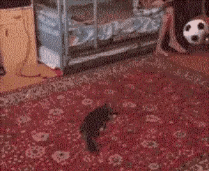 半暖时光|这些真实的电影镜头,有多少人误认为是特效?被骗了很多年,哈哈