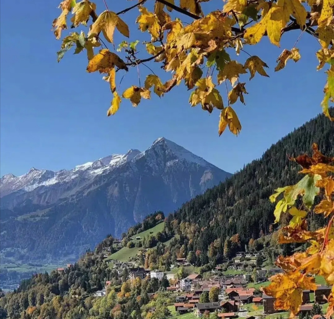 甘草心语录 现在讲的农村大少爷是些什么人？为什么这类人越来越多？