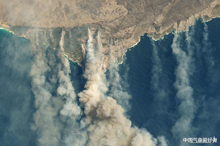 澳洲山火给太平洋施肥,南极四周微生物大爆发!美国专家:是好事