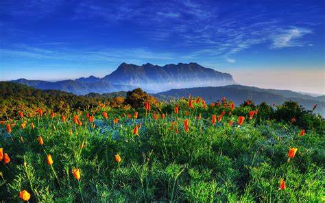 海龟|物理学家张首晟最著名演讲：这几句话可以总结人类所有知识
