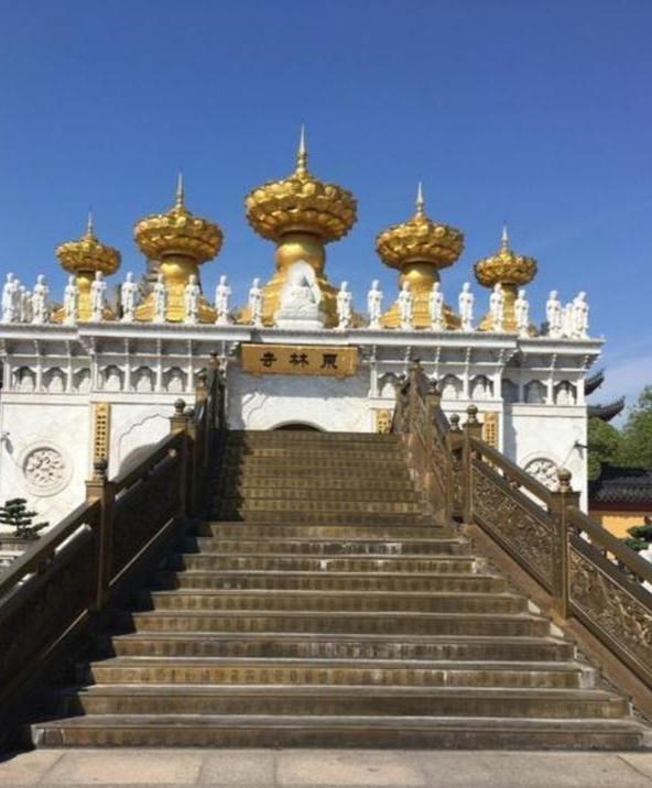 运动|老杜暗讽田静卖笋干，自己卖蜂蜜被指不妥｜宣化上人：不能吃蜂蜜