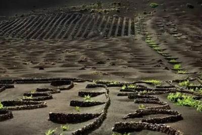 舜网 懒人神操作!机智的大爷难道整容了