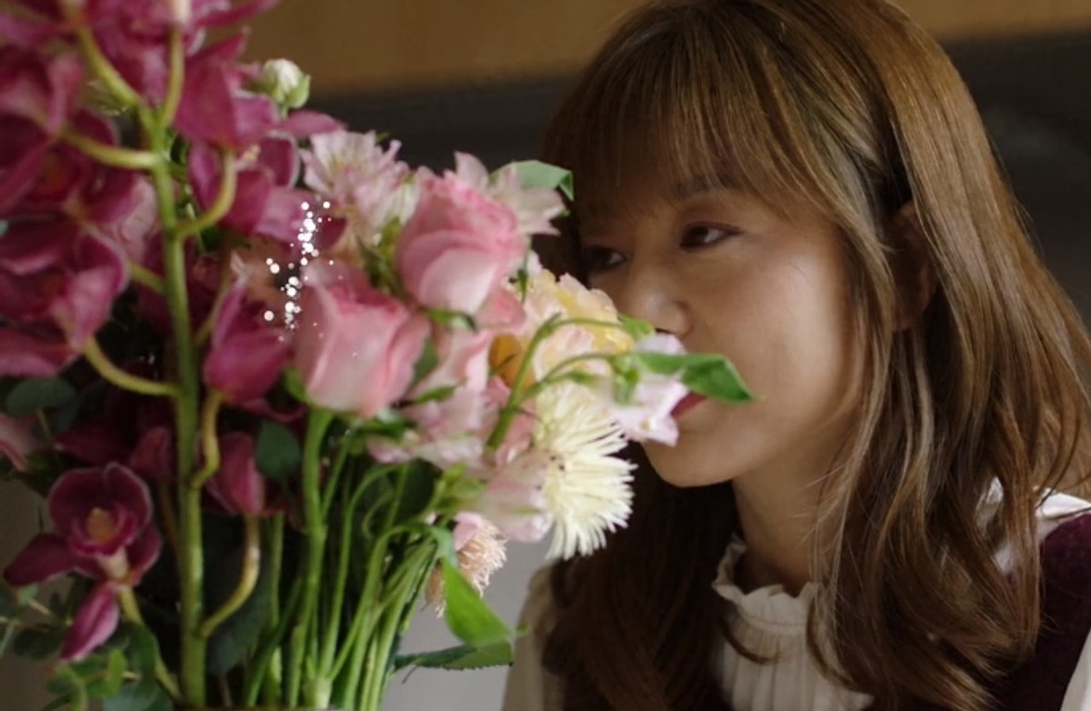 高圆圆|高圆圆新剧获发行许可,演员都是熟悉面孔,未播先火收视稳赚?