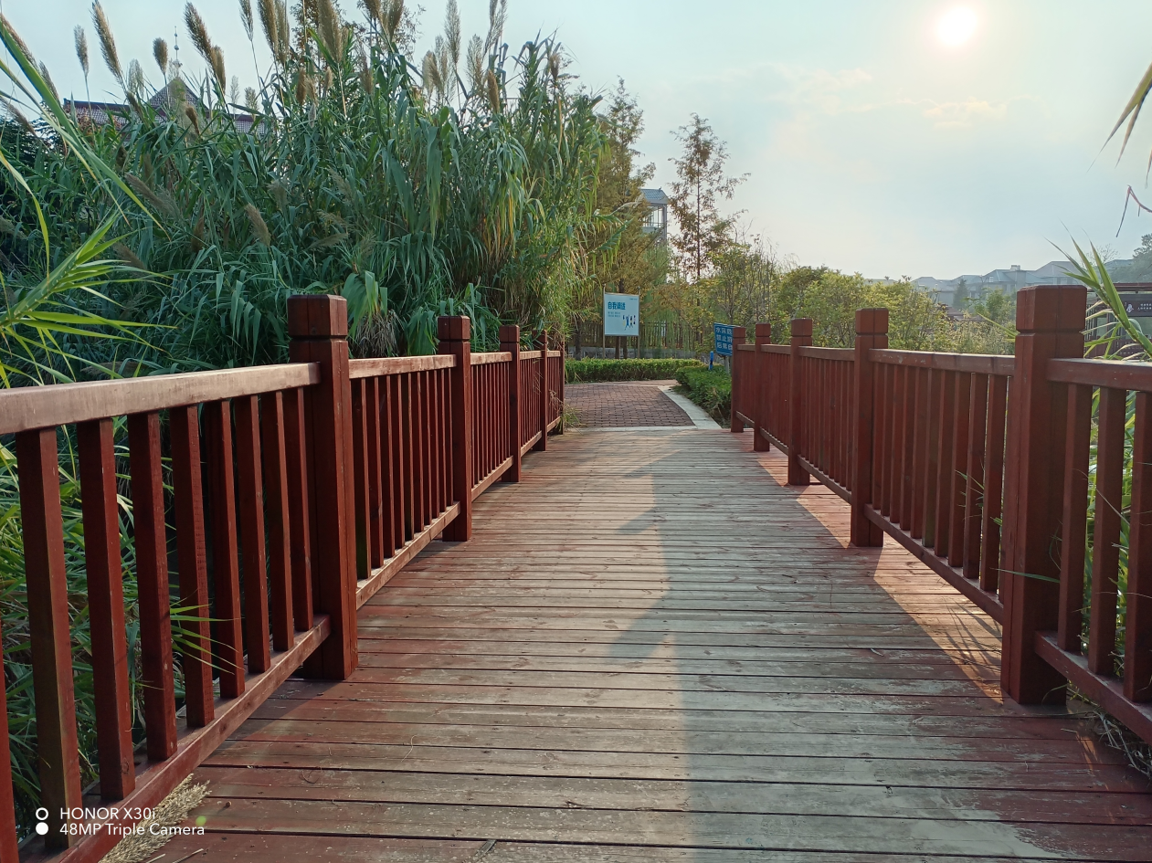 荣耀X30i首发上手体验：千元手机的质感被推上了新高度？