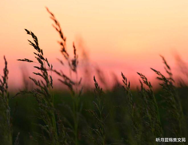 昕月蓝殇美文苑|今生能够遇见，是注定的缘分