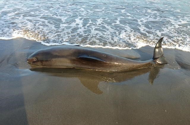  迄今为止，学者们依然无法发现答案的7个问题，等你来回答！